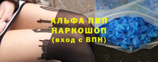 СК Алзамай