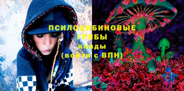 СК Алзамай