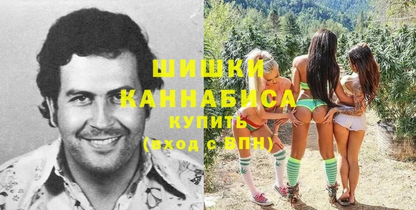 стаф Слюдянка
