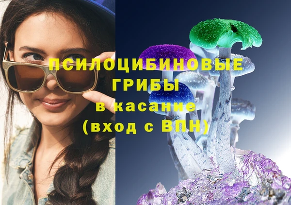 СК Алзамай