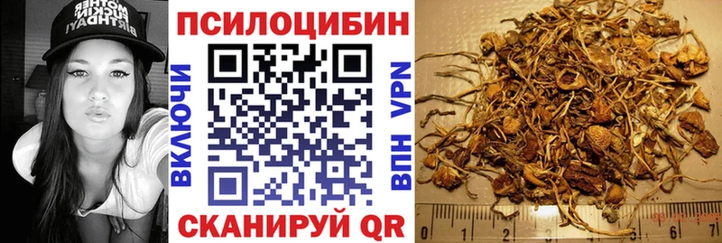 мориарти как зайти  купить наркоту  Гаврилов Посад  Псилоцибиновые грибы ЛСД 
